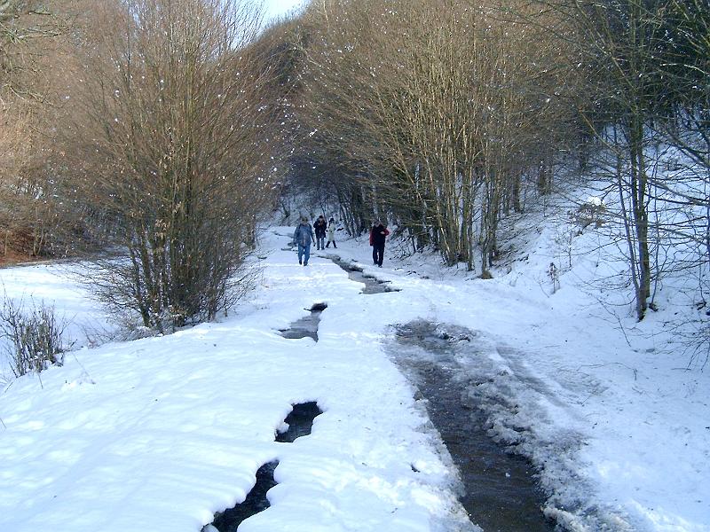 20110122 042.jpg